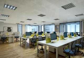 长宁区绿植租赁上门维护